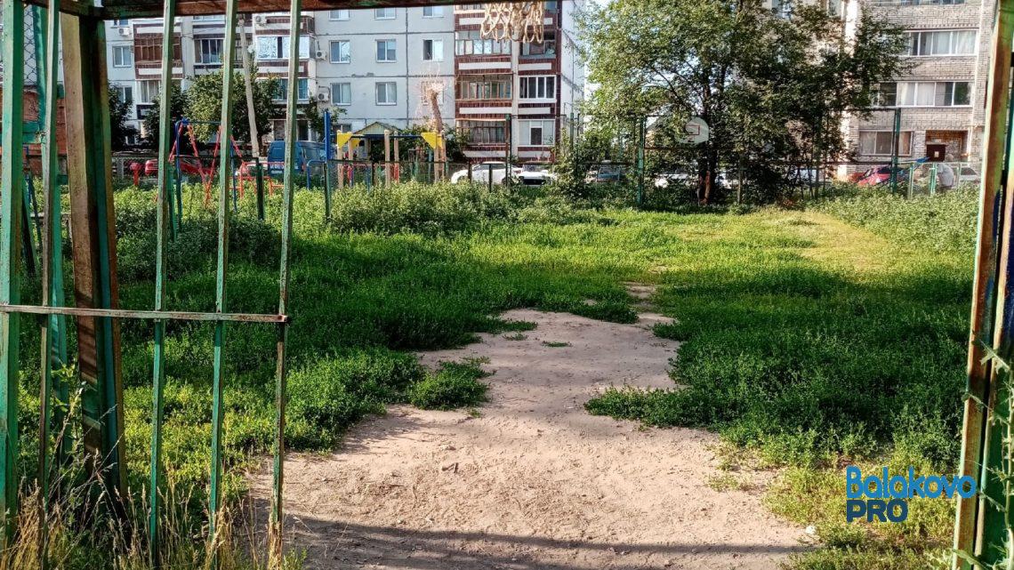 Чего в Балаково не хватает для развития дворового спорта?