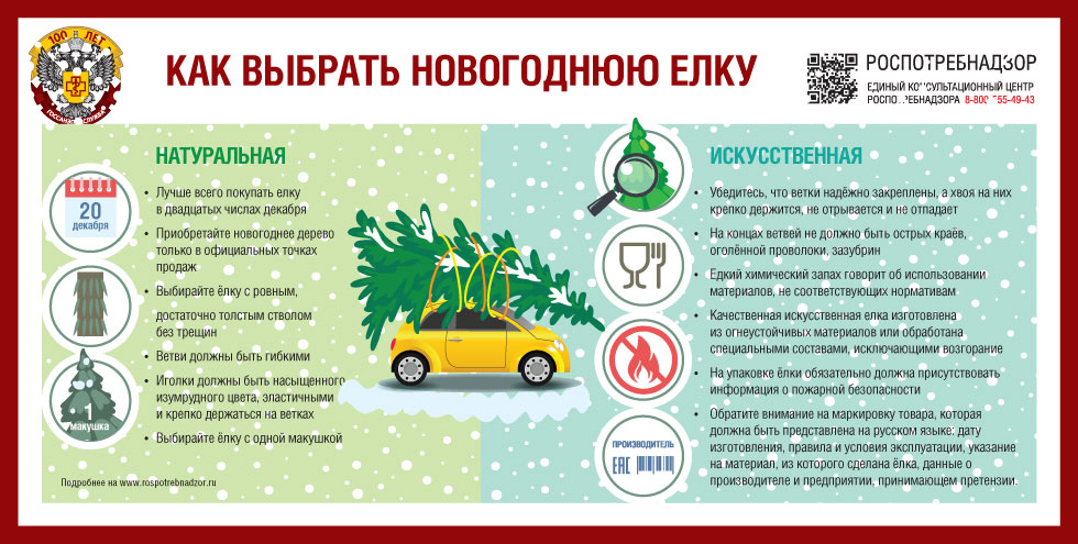 Как правильно выбрать новогоднюю елку?