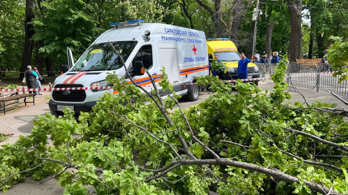 В Саратове в парке дерево упало на людей. Погибли женщина и ребенок