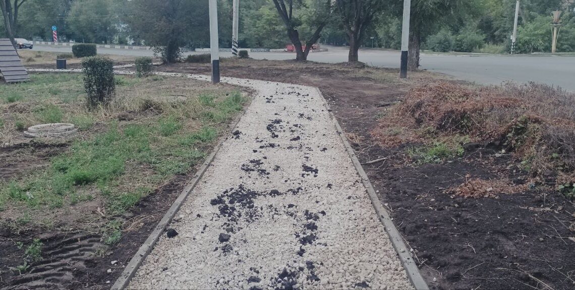 В Балаково подрядчик уложил некачественный асфальт на площадке для выгула собак