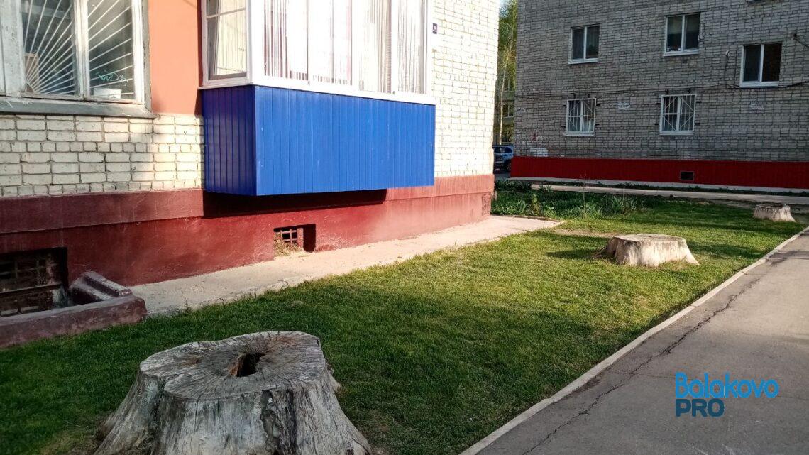 Про Аллею Героев в Балаково и вечное