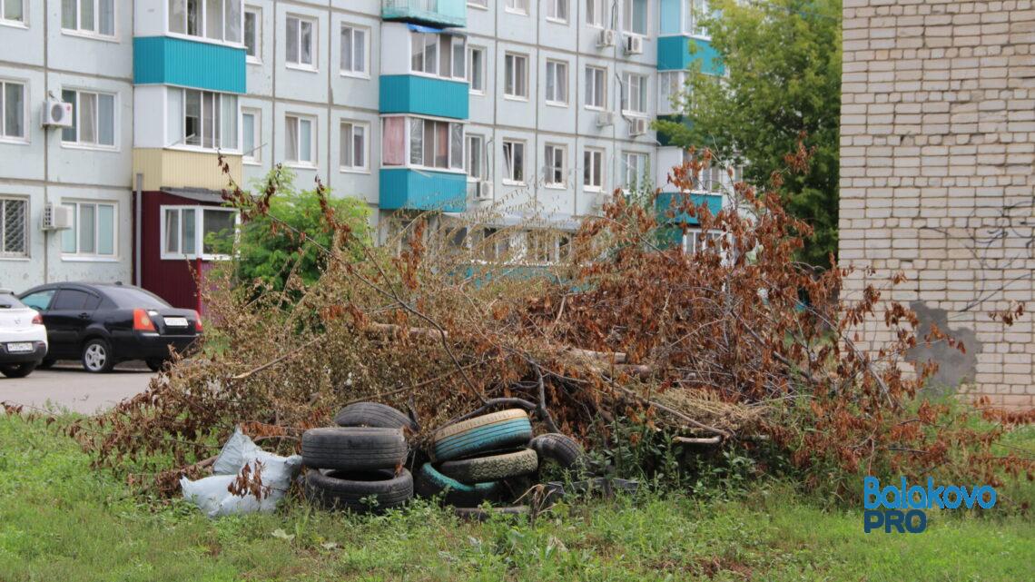 Штрафы до сотен тысяч за ветки и цветы в покрышках? В Балаково обсудили грядущий мусорно-законодательный коллапс   