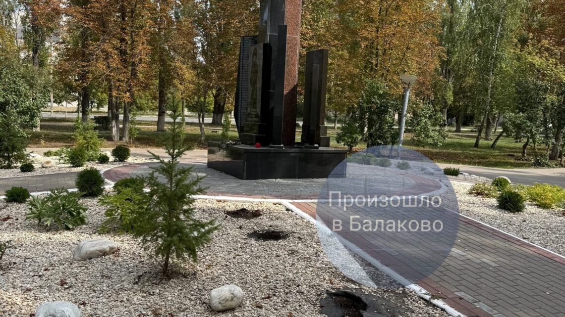 В Балаково нашли туи, которые выкопали возле мемориала