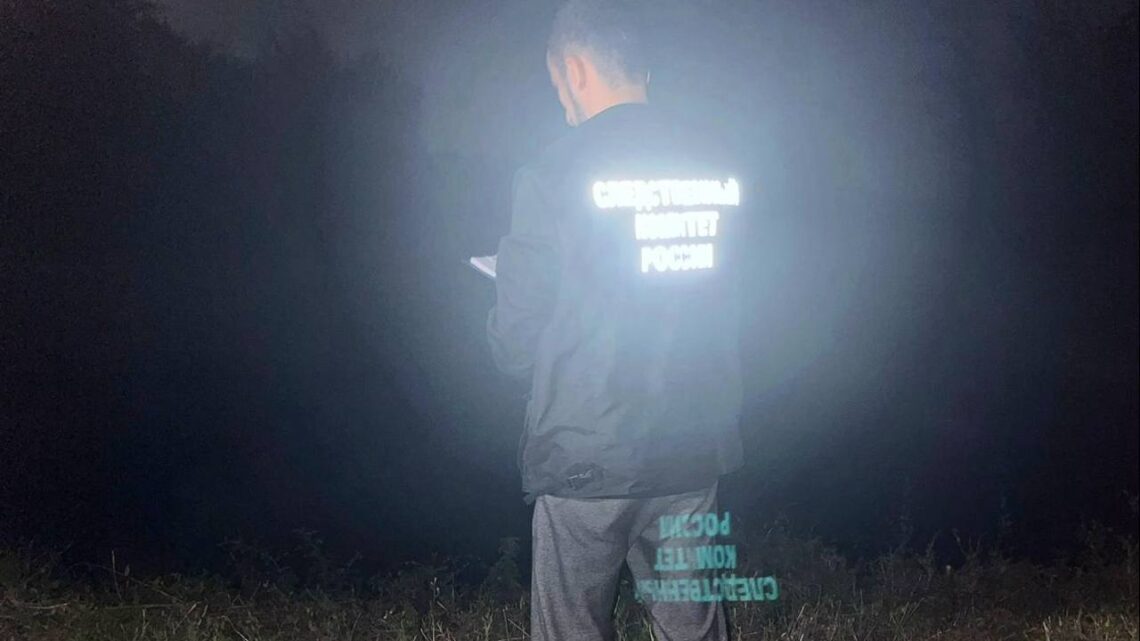 В Саратовской области рыбак погиб, задев удочкой провода