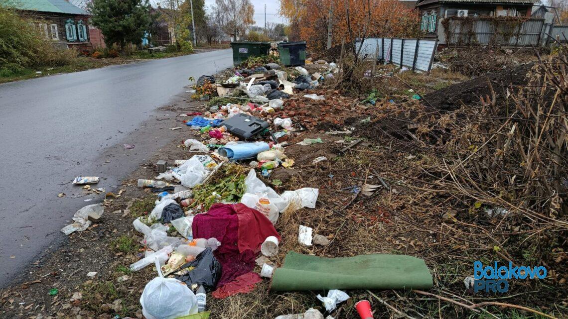 Депутат Госдумы обратится в прокуратуру из-за проблем с вывозом мусора в Балаково, Вольске и Саратове