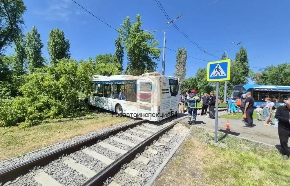 В Саратове автобус врезался в дерево. Пострадали пассажиры