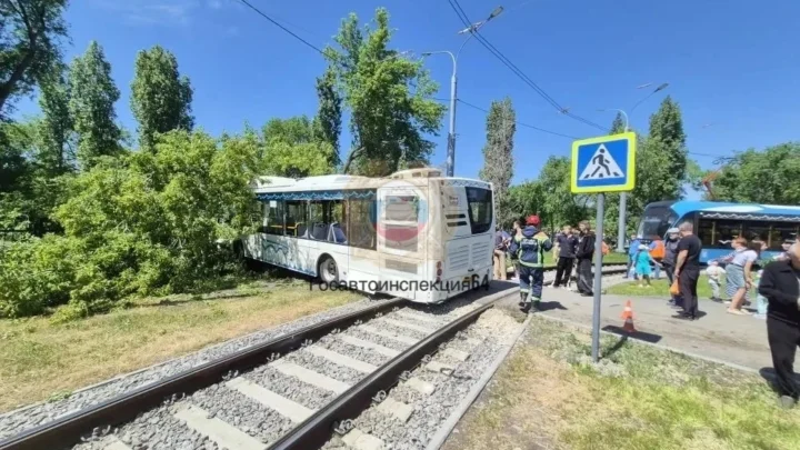 В Саратове автобус врезался в дерево. Пострадали пассажиры