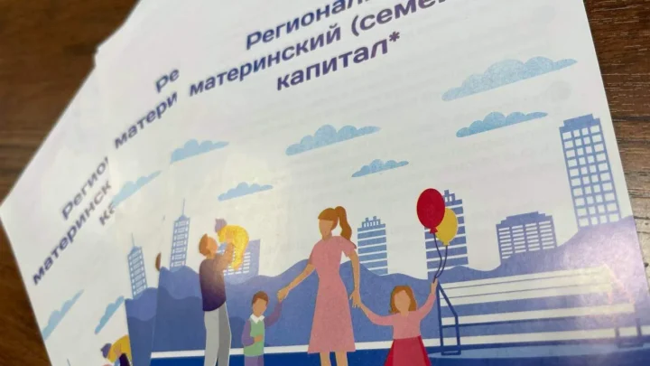 Многодетные семьи Саратовской области направляют маткапитал на жильё, окна и двери