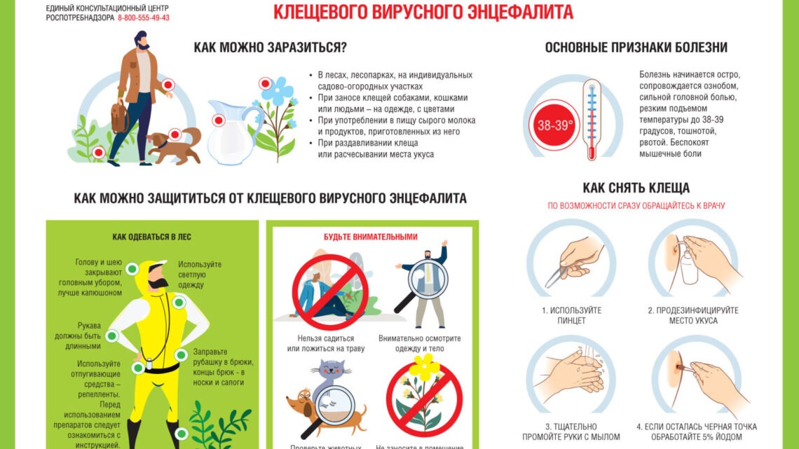О профилактике инфекций, передающихся клещами