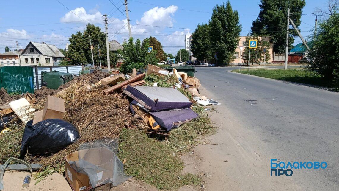 В Балаково контейнерные площадки завалены мусором, но их вычистят перед «большим визитом»?