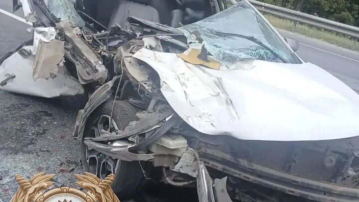 На трассе под Вольском Kia и фура не поделили дорогу. Пострадал 1 человек