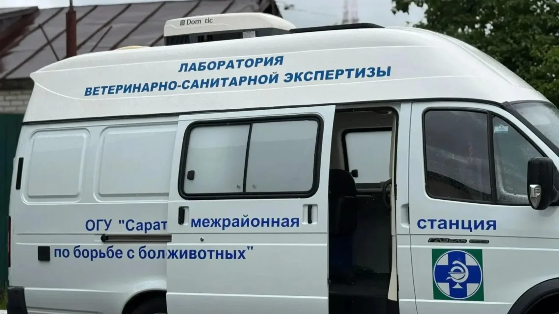 Более 10 тонн опасной еды изъяли из магазинов Саратовской области за июль