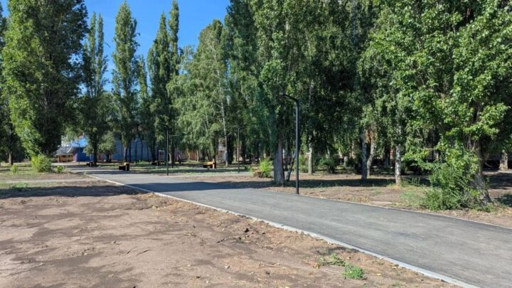 В Балаково на общественных территориях устраивают пьянки. Глава обратился в полицию