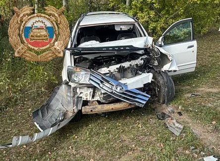 В Балаковском районе автомобиль врезался в столб